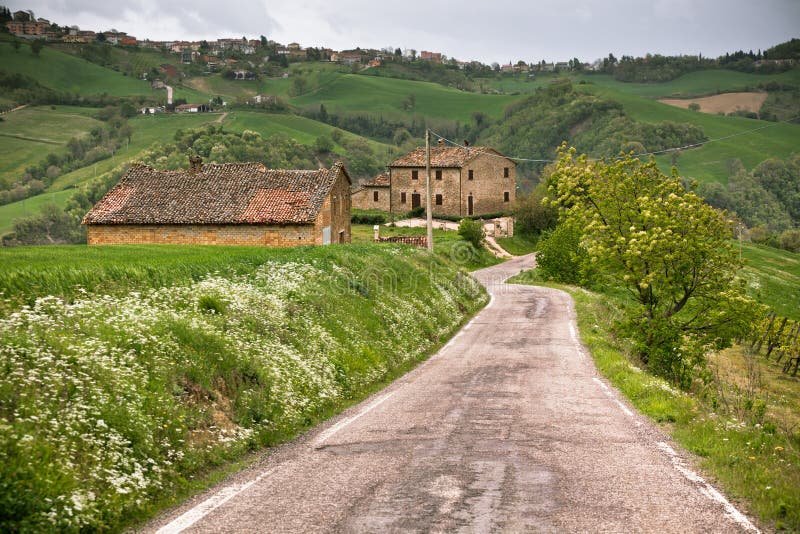 Guida a chicken road gioco